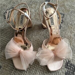 Never worn! Badgley Mischka Tess Block Heel, soft blush